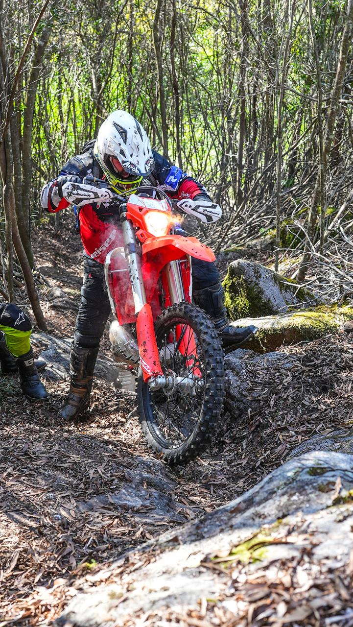 Brinde com canecas tradicionais